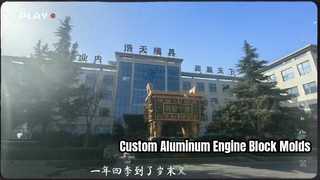 OEM Aluminum Engine Block Mold for Auto Parts