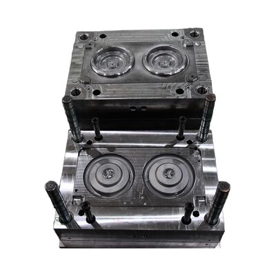 Plastic Injection Molding Factory Manufacturer Design Custom Mold High Precision Multi-cavity Mould
